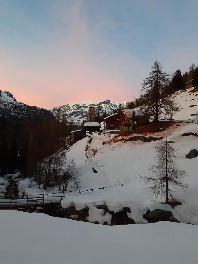 Piccola Residenza Apartment Champoluc Exterior photo